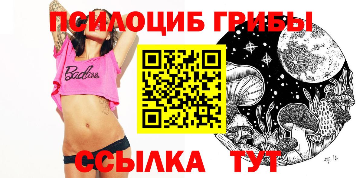 Галлюциногенные грибы мицелий  продажа наркотиков  Элиста  Вход с VPN  Псилоцибиновые грибы ЛСД 