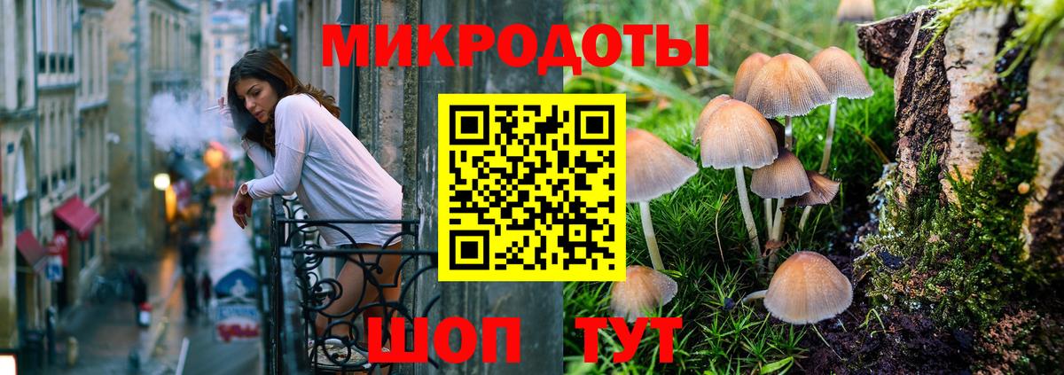 Псилоцибиновые грибы прущие грибы Элиста