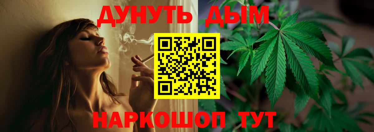 Шишки марихуана конопля  Вход с VPN  МАРИХУАНА ГИДРОПОН  Бошки Шишки семена  Элиста 
